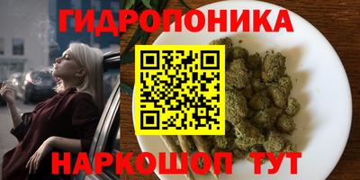 индика Усть-Илимск