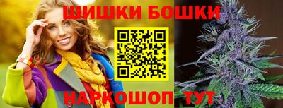 индика Усть-Илимск