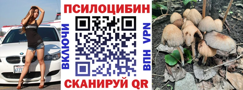 Псилоцибиновые грибы Psilocybine cubensis  купить наркотики цена  Алушта 