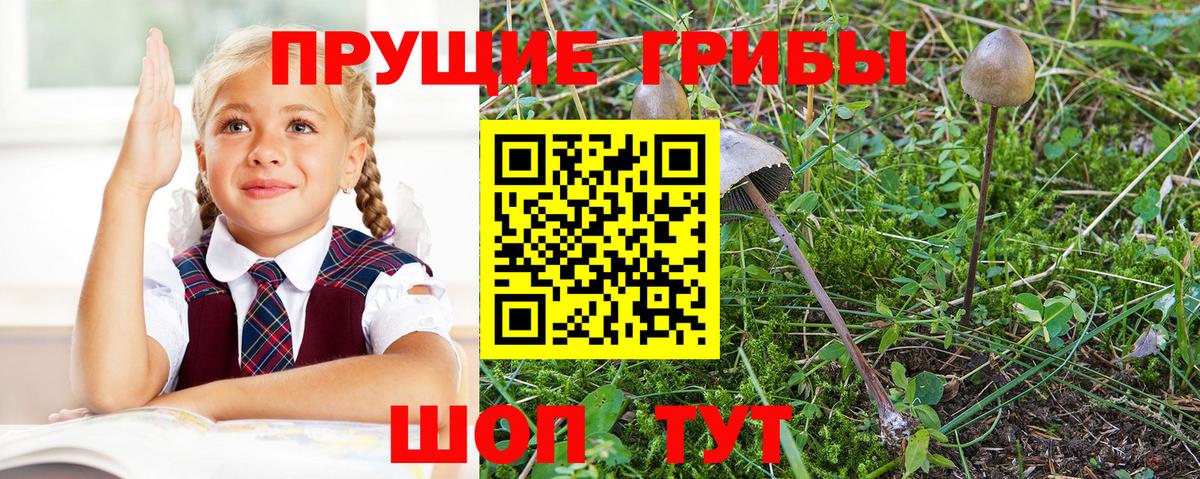 Галлюциногенные грибы мицелий  наркотики  Алушта 