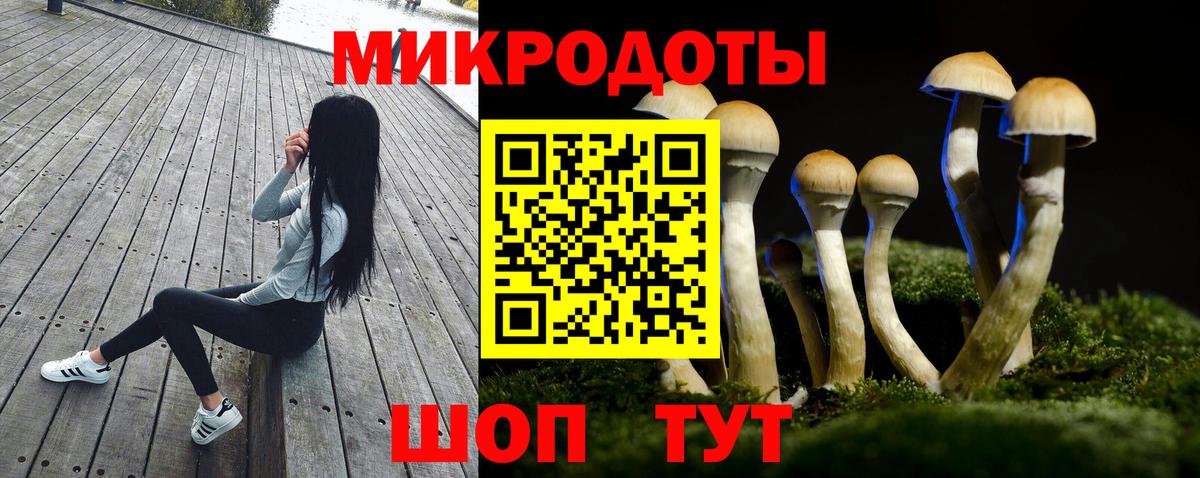 Галлюциногенные грибы Psilocybe Алушта