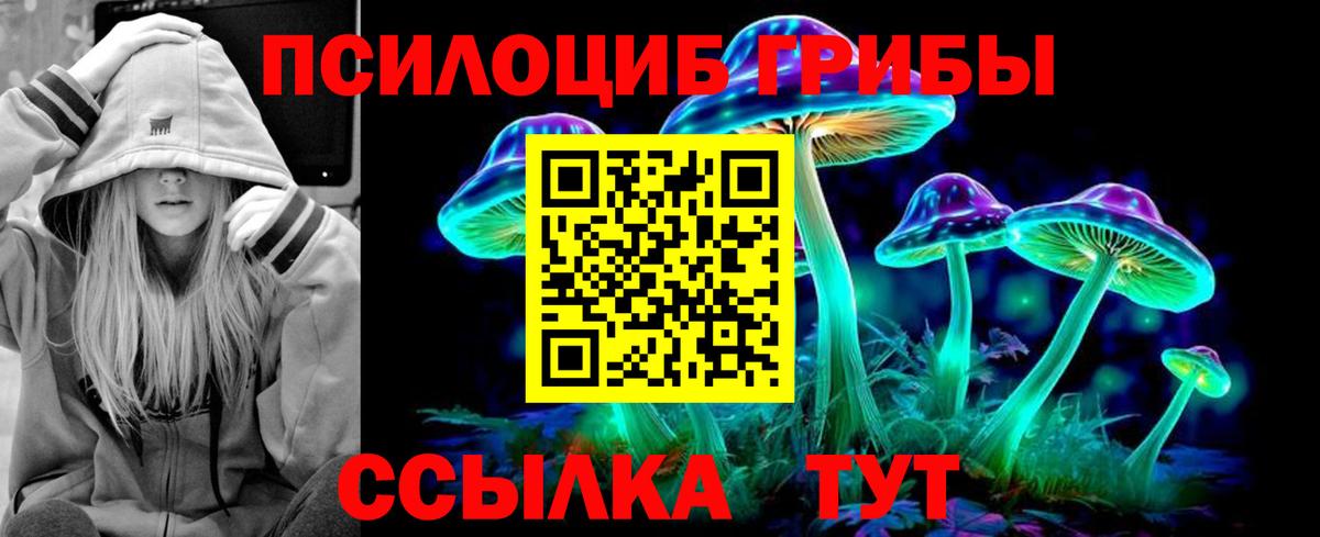 Алушта  Псилоцибиновые грибы Psilocybe  Вход с VPN  Галлюциногенные грибы прущие грибы 
